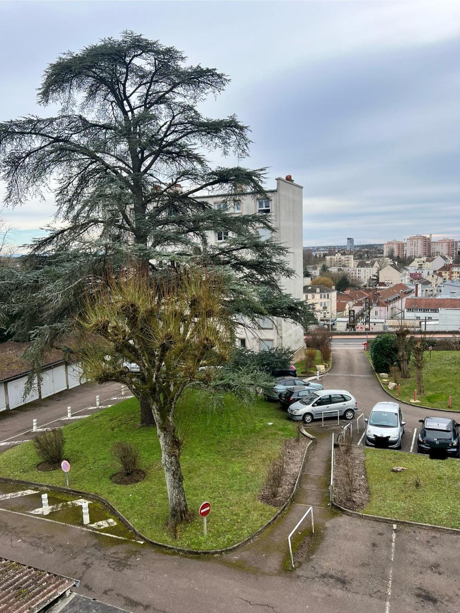 Le Bellevue - T3 - Gare & Les Jardins Darcy - Parking Free Dijon Exterior foto